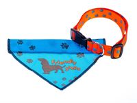 KIT COLLARE E BANDANA
